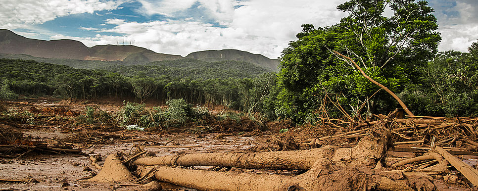 Nota do IPDMS sobre o crime ambiental e social cometido pela Vale em Brumadinho/MG